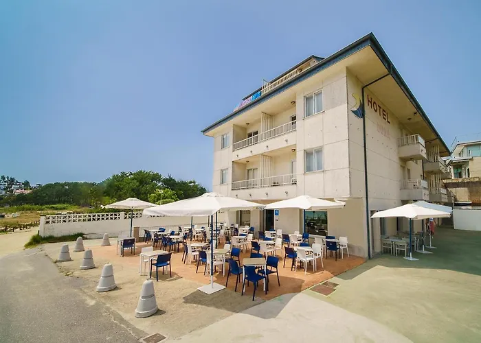 Duna 2* Портоново